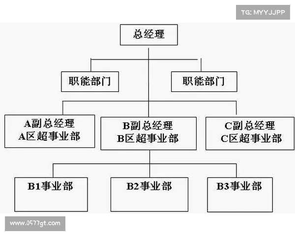 斯坦福桥的组织结构与文化影响力探析